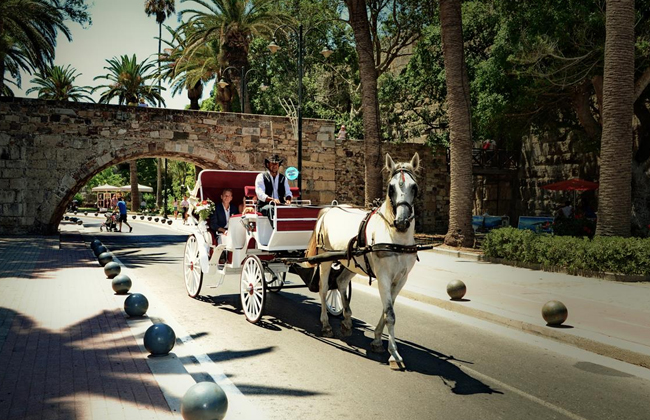 kos-wedding-art-01.jpg