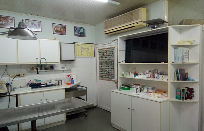 m.jpg