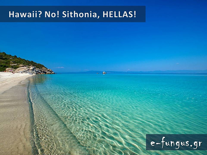 hellas08