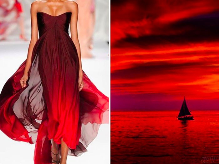 moda8