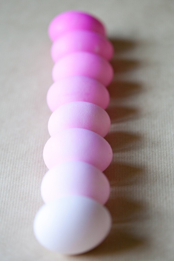 egg9