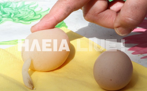 egg2