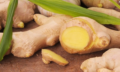 piperoriza