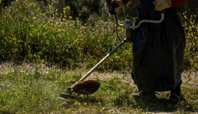Καθαρισμός οικοπέδων: Από 1η Απριλίου έως 15 Ιουνίου η προθεσμία - Τι αλλάζει με το νέο νόμο