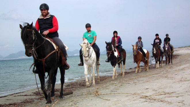 Κέντρο Θεραπευτικής Ιππασίας Κω "Erikas Horse Farm"