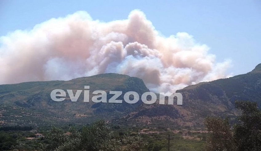 Εύβοια: Μαίνεται η φωτιά σε τρία μέτωπα - Συνελήφθη ένας 64χρονος για την πυρκαγιά