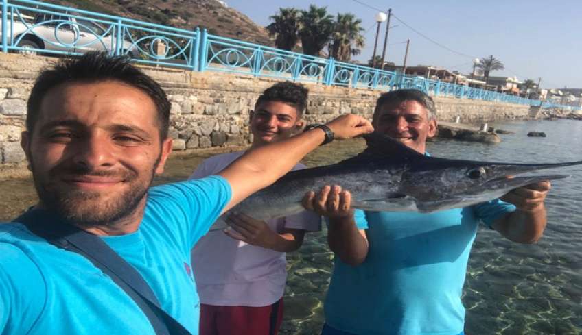 Λύθηκε το μυστήριο με τον «καρχαρία» της Κεφάλου, τελικά είναι… Βασιλική Ζαργάνα!