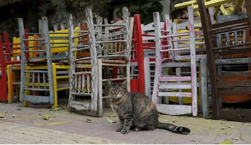 Κατατέθηκε στη Βουλή η διάταξη για την ενίσχυση της εστίασης