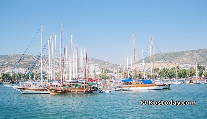 ΔΕΙΤΕ την ΕΠΙΣΤΟΛΗ ΔΙΑΜΑΡΤΥΡΙΑΣ για την ταλαιπωρία των Τούρκων τουριστών στην Κω