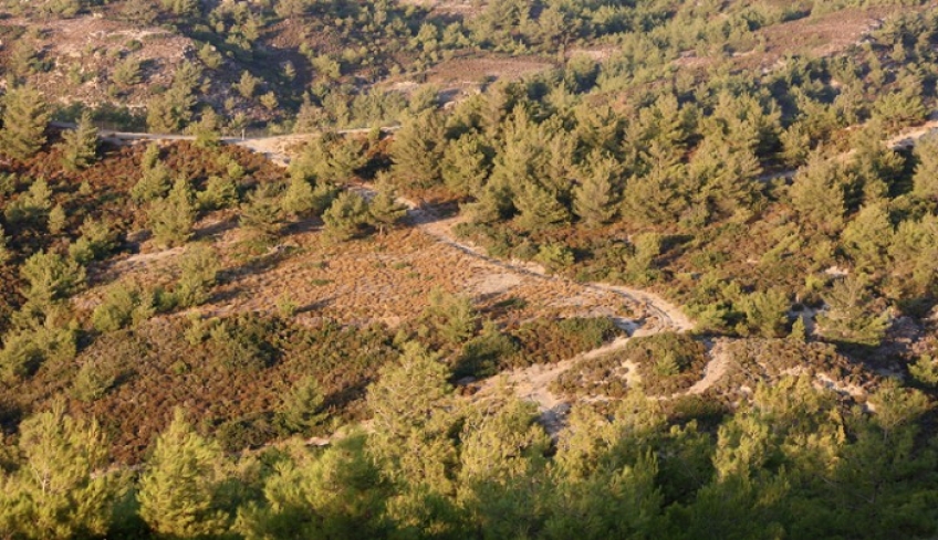 Απαγορεύεται η κυκλοφορία στα δάση της Δωδεκανήσου τις βραδυνές ώρες