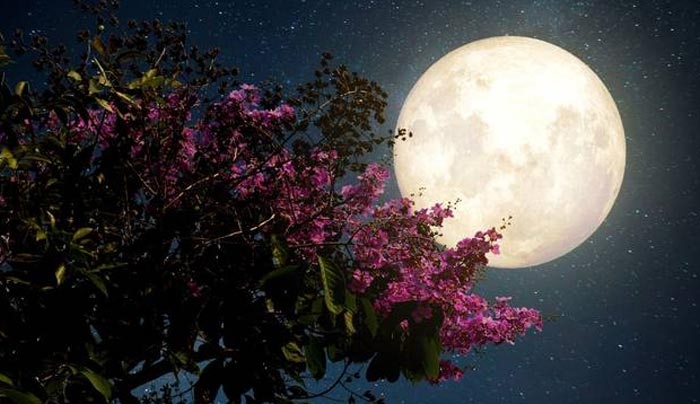 Πανσέληνος Μαΐου: Πότε θα τη δούμε - Γιατί ονομάζεται Φεγγάρι του λουλουδιού