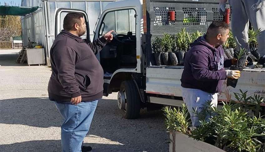 Σε διαρκή παραγωγή και αποστολή φυτών βρίσκεται το Περιφερειακό Φυτώριο Νοτίου Αιγαίου