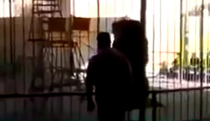 ΒΙΝΤΕΟ ΣΟΚ: Λιοντάρι κατασπαράσσει τον θηριοδαμαστή