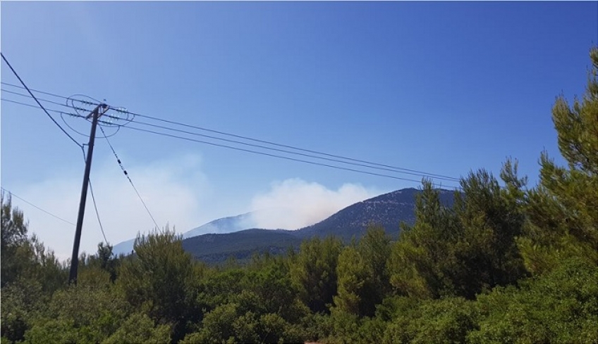 Κιθαιρώνας: Παραμένει εκτός ελέγχου η φωτιά - Οι ισχυροί άνεμοι δυσκολεύουν την κατάσβεση