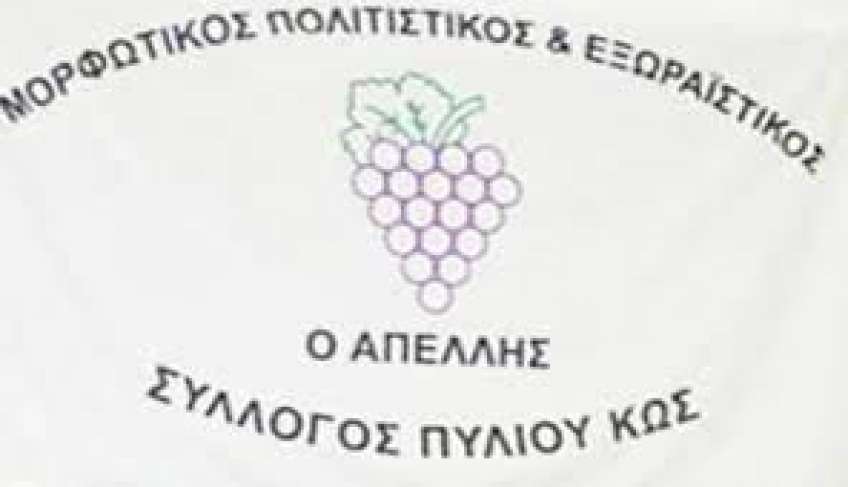 Ευχαριστήριο ΑΠΕΛΛΗ για το Πυλιώτικο Καρναβάλι