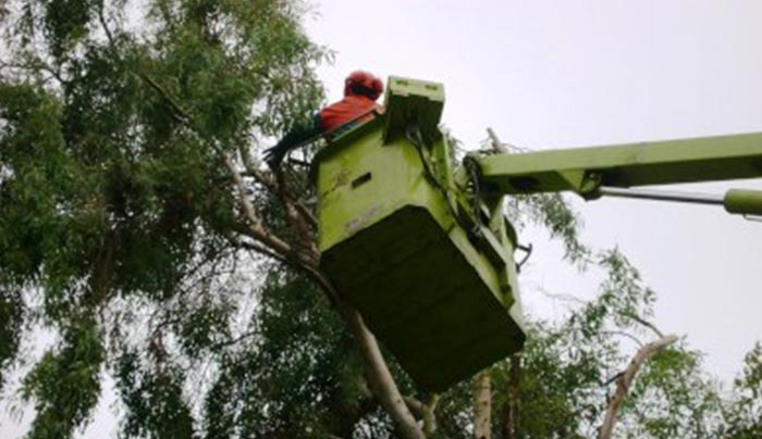 Το Πρόγραμμα των έργων και των παρεμβάσεων στην πόλη της Κω και στα χωριά για την εβδομάδα που έρχεται.