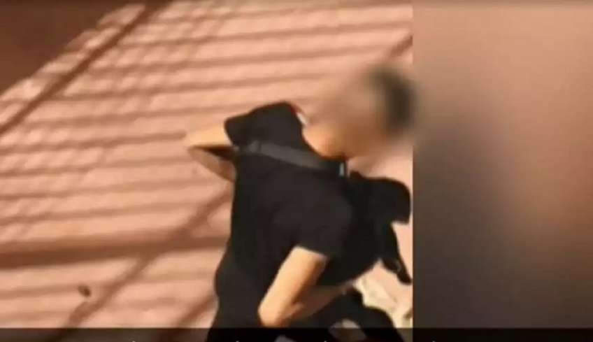 Οργή και θλίψη για νέα κακοποίηση ζώου: Ανήλικος έσφιγγε σκυλάκι με θηλιά στον λαιμό και «το έδερνε» - Τι λέει αυτόπτης μάρτυρας