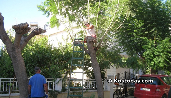 Δήμος Κω: Προγραμματισμένες εργασίες από Δευτέρα 18-09-2017 έως Παρασκευή 22-09-2017
