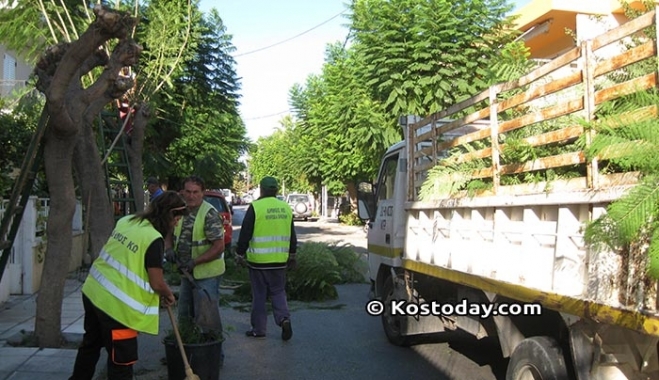 Συνεχίζεται το κλάδεμα επί της Γ Παπανδρέου