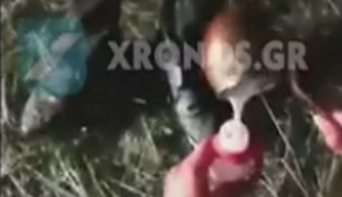 Μεταναστευτικό: Κόντρα στα ψέματα των Τούρκων οι Έβρίτες φυλάνε τα σύνορα αλλά δείχνουν και ανθρωπιά [βίντεο]