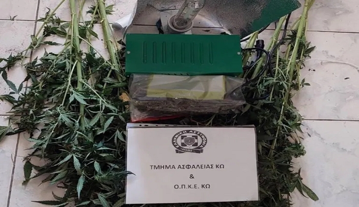 Συνελήφθη στην Κω ημεδαπός για κατοχή και καλλιέργεια εσωτερικού τύπου κάνναβης