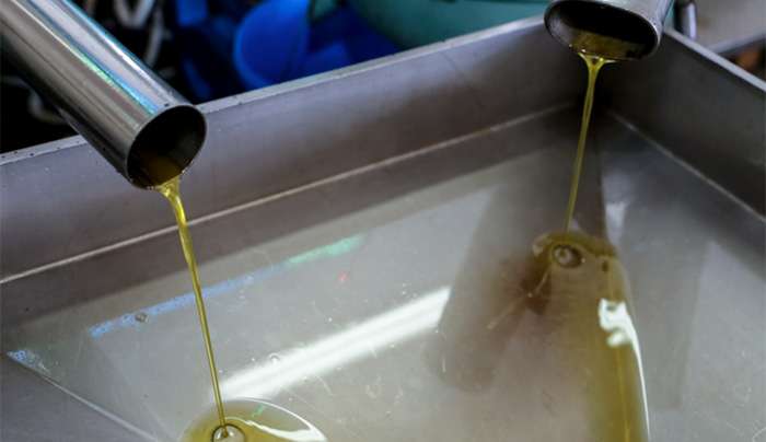 Ελαιοκομικό Mητρώο: Πρόστιμα έως 5.000 ευρώ για το αδήλωτο ελαιόλαδο