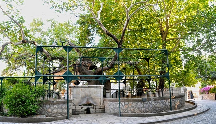 Δήμος Κω: Οι προγραμματισμένες εργασίες από τις 01/08 έως 05/08!