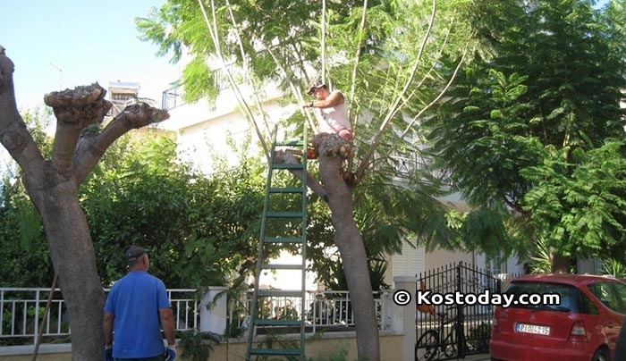 Δήμος Κω: Προγραμματισμένες εργασίες από Δευτέρα 11-12-2017 έως Παρασκευή 15-12-2017