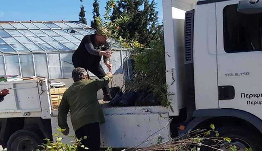 Ντόμινο παραδόσεων από το Περιφερειακό Φυτώριο Νοτίου Αιγαίου