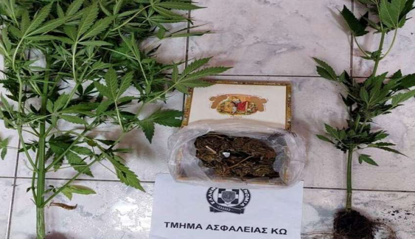 Σύλληψη ημεδαπού για ναρκωτικά στη Κω στις 29/05