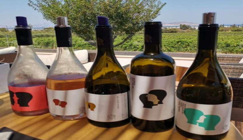 Ευχαριστήριο του Γραφείου Τουριστικής Προβολής &amp; Ανάπτυξης του Δήμου Κω με αφορμή το Press Trip Ιταλίδων δημοσιογράφων