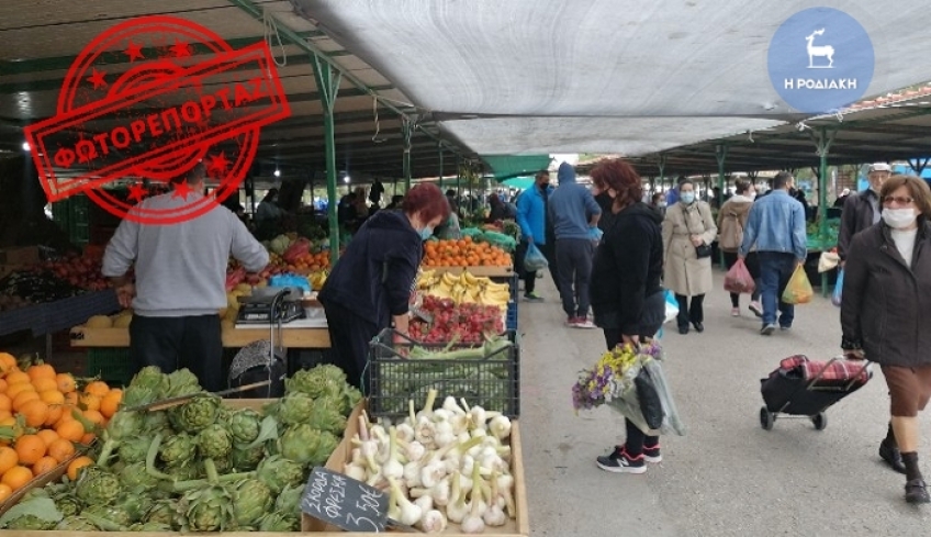 Πάνω από 5.000 αμνοερίφια στάλθηκαν από τα Δωδεκάνησα σε άλλες περιοχές της χώρας