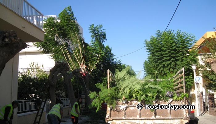 Δημοτικές εργασίες από Δευτέρα, 12-12-2016 ως Παρασκευή, 16-12-2016