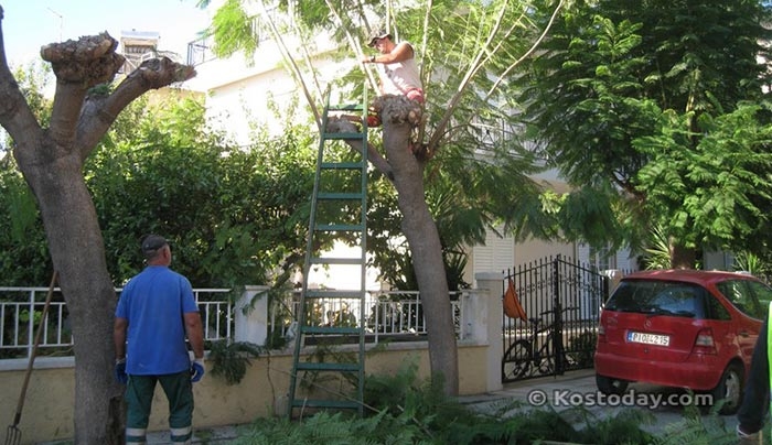 ΠΡΟΣΟΧΗ: Διακοπή κυκλοφορίας λόγω εργασιών πρασίνου στην Κω - Δείτε που