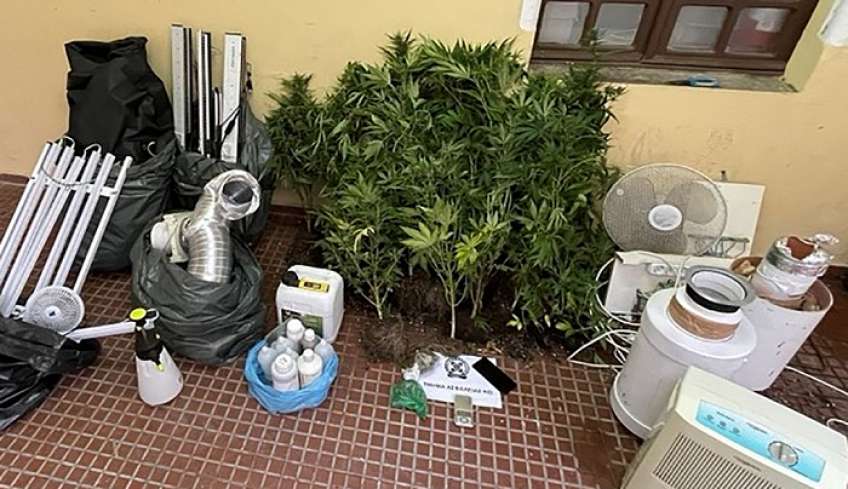 Σύλληψη 65χρονου για καλλιέργεια κάνναβης στην Κω
