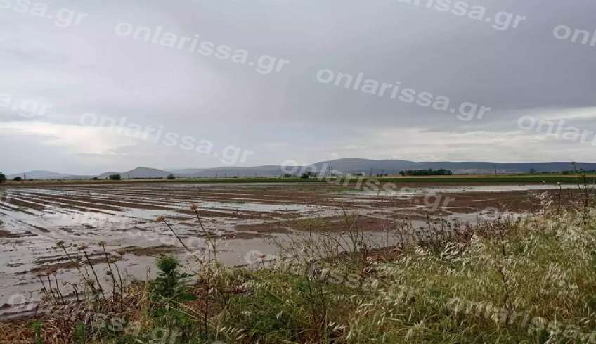 Φάρσαλα: Χαλαζόπτωση ισοπέδωσε χιλιάδες στρέμματα – Ξεσπάσματα πάνω από τις εικόνες καταστροφής