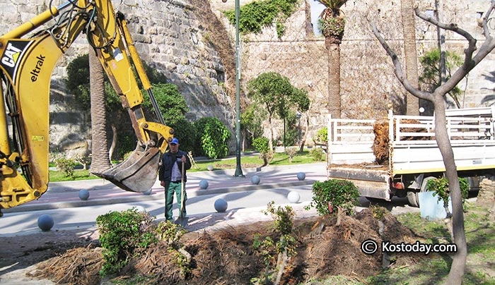 Παρεμβάσεις στη Λεωφόρο των Φοινίκων (φωτό-βίντεο)