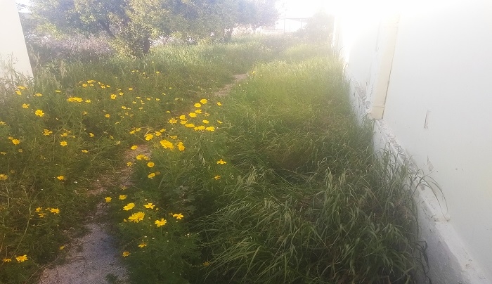 Γιάννης Λαδικός, υποψήφιος με την Παράταξη  «Όραμα &amp; Δράση»: Στο σχολείο του Αμανιού τα χόρτα είναι ψηλότερα από τα παιδιά...