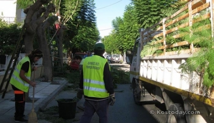 Κλάδευση ευκαλύπτων από το ύψος της «ΜΑΡΙΝΑΣ» ΚΩ μέχρι το Ψαλίδι