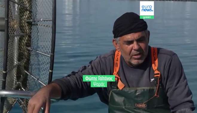 Λαγοκέφαλος και Λεοντόψαρα «σαρώνουν» τα ψάρια και τον γόνο της Μεσογείου με τους αλιείς να αναζητούν λύσεις - Στην Κύπρο σερβίρουν τα λεοντόψαρα στις ψαροταβέρνες
