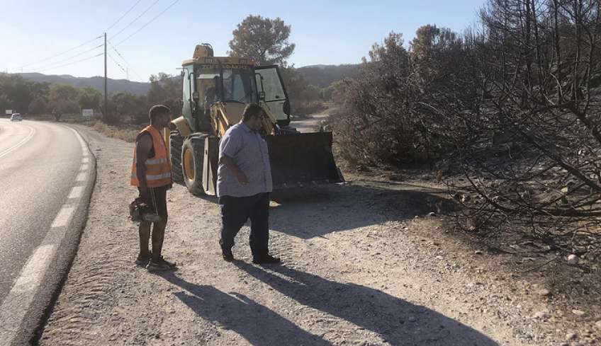 Το Περιφερειακό Φυτώριο συμμετέχει στις εργασίες αποκατάστασης – Διαθέτει δασικά και καλλωπιστικά φυτά